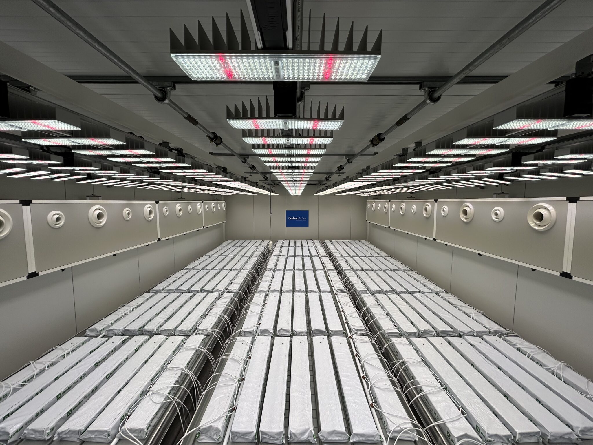 CarbonActive IGC Indoor Growing Compartment. Shown is the interior of an indoor grow room with benches, irrigation, ventilation and lighting and rockwool slabs