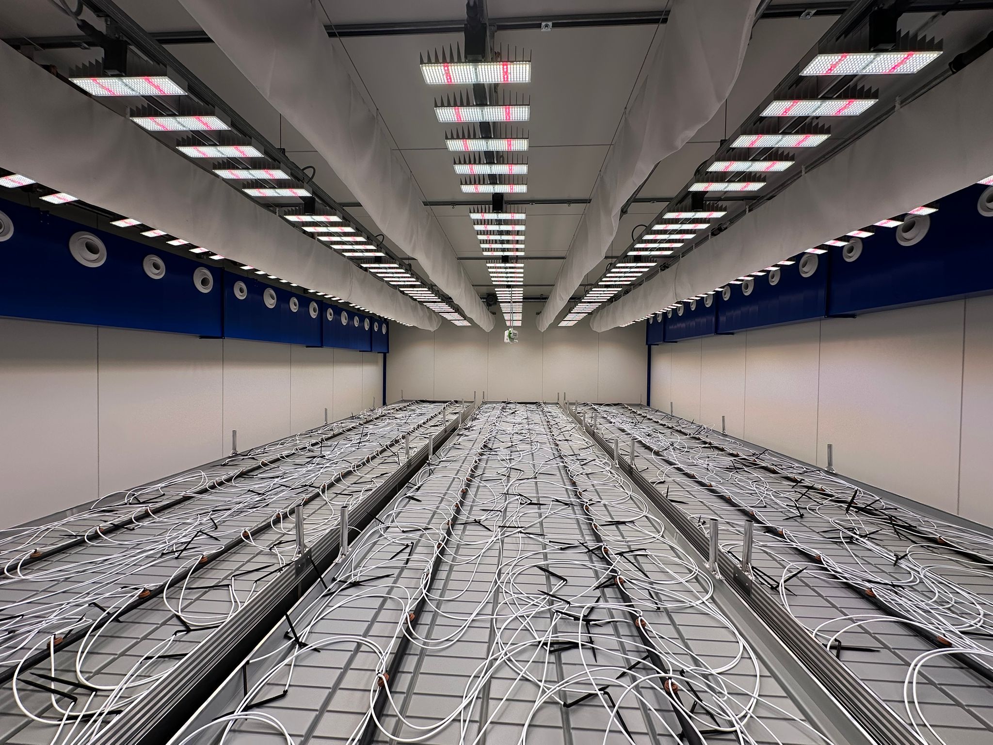 Indoor Growing Compartment from CarbonActive - cultivation room's with LED lighting
